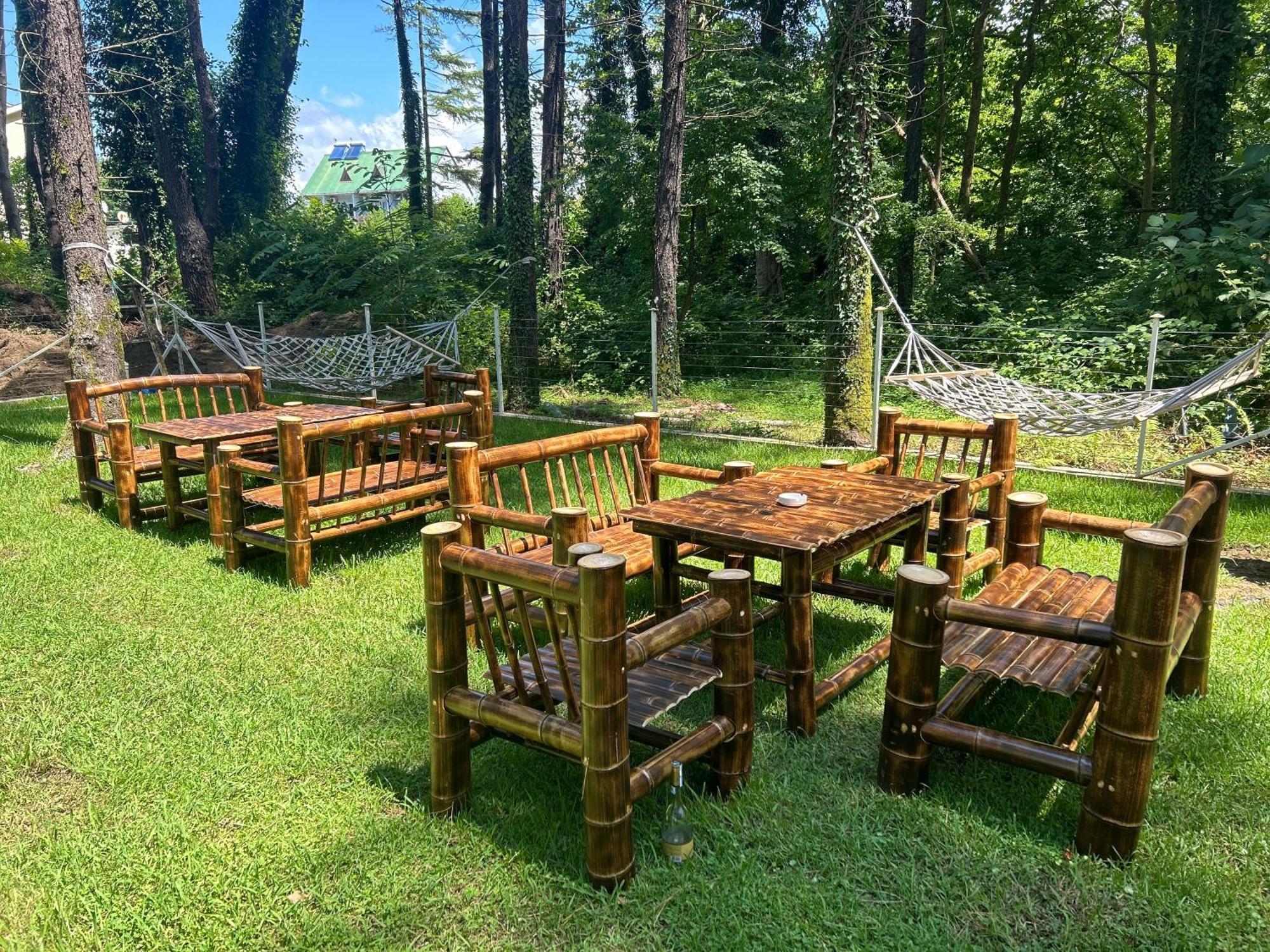 Pine Aparthotel Shekhvetili Εξωτερικό φωτογραφία