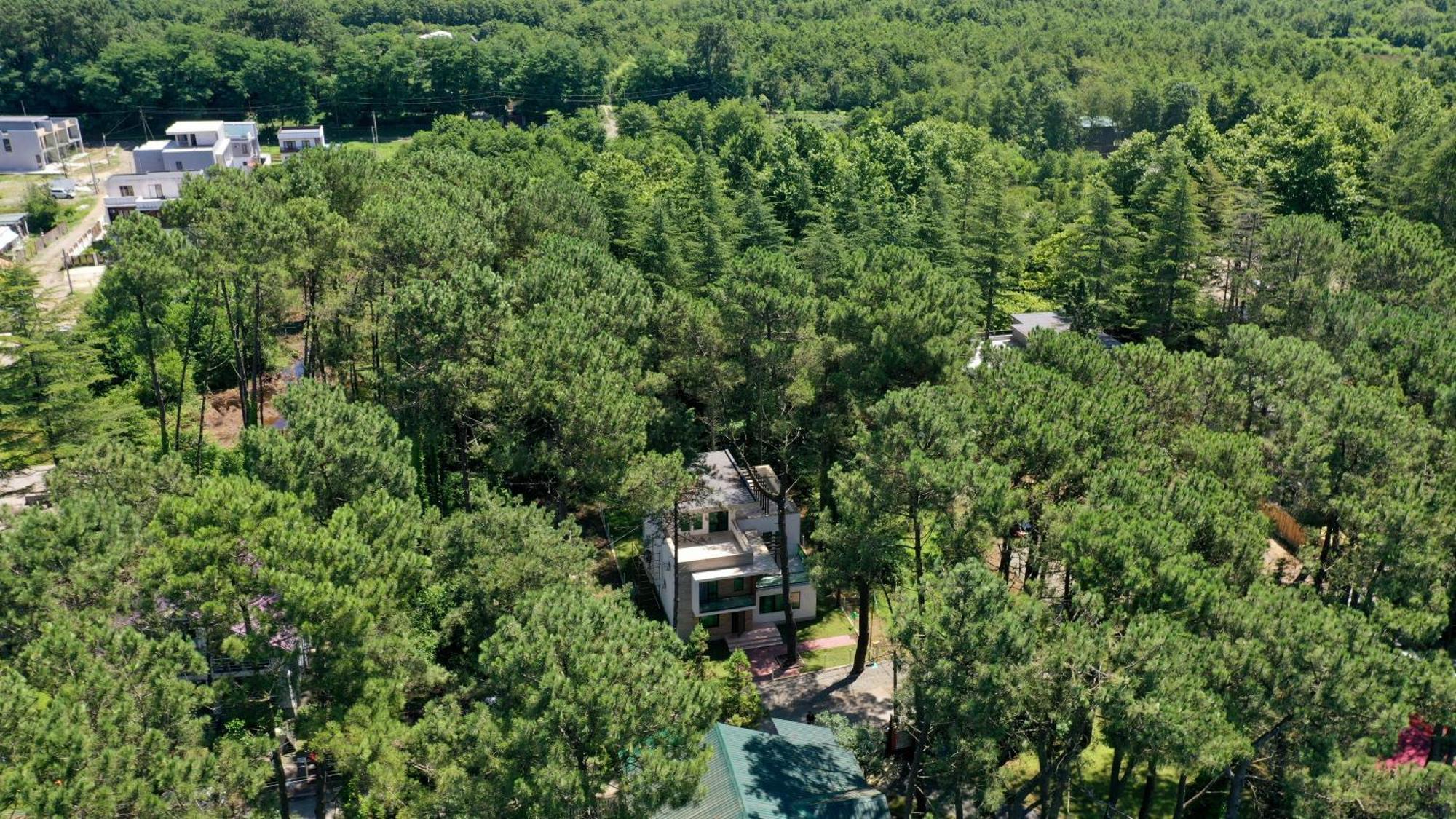 Pine Aparthotel Shekhvetili Εξωτερικό φωτογραφία