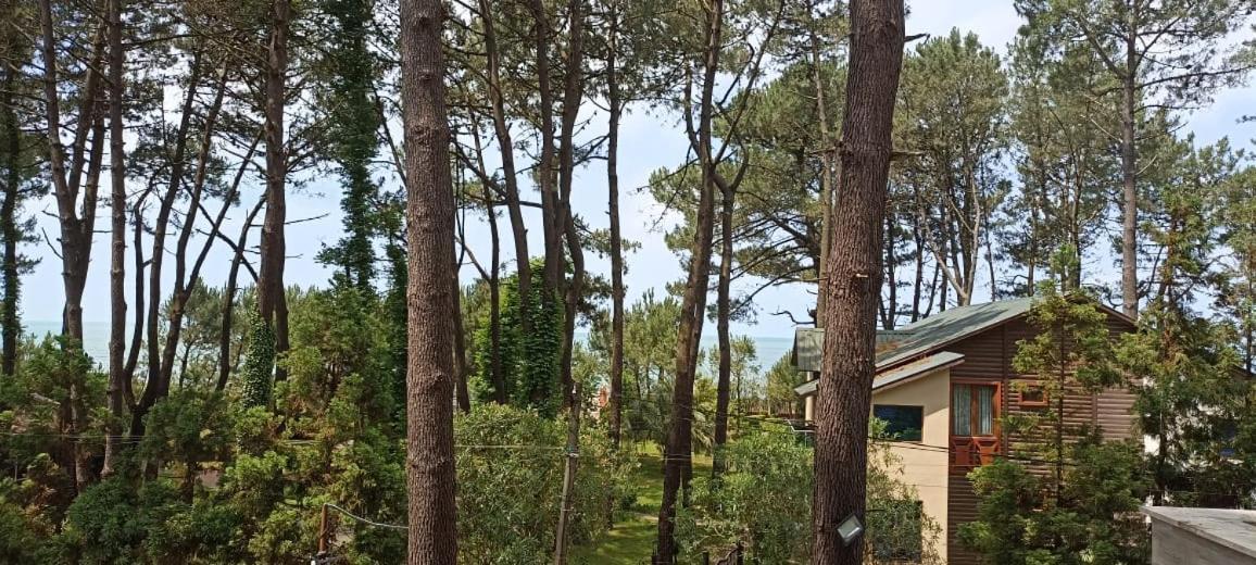 Pine Aparthotel Shekhvetili Εξωτερικό φωτογραφία